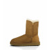 Bailey Button Women Chectnut